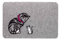 poes
